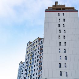 DSC_2208-min
